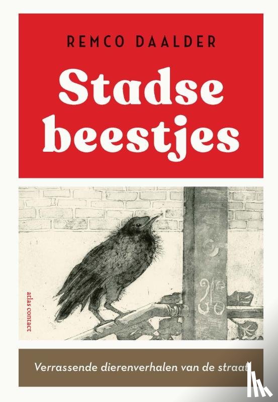 Daalder, Remco - Stadse beestjes