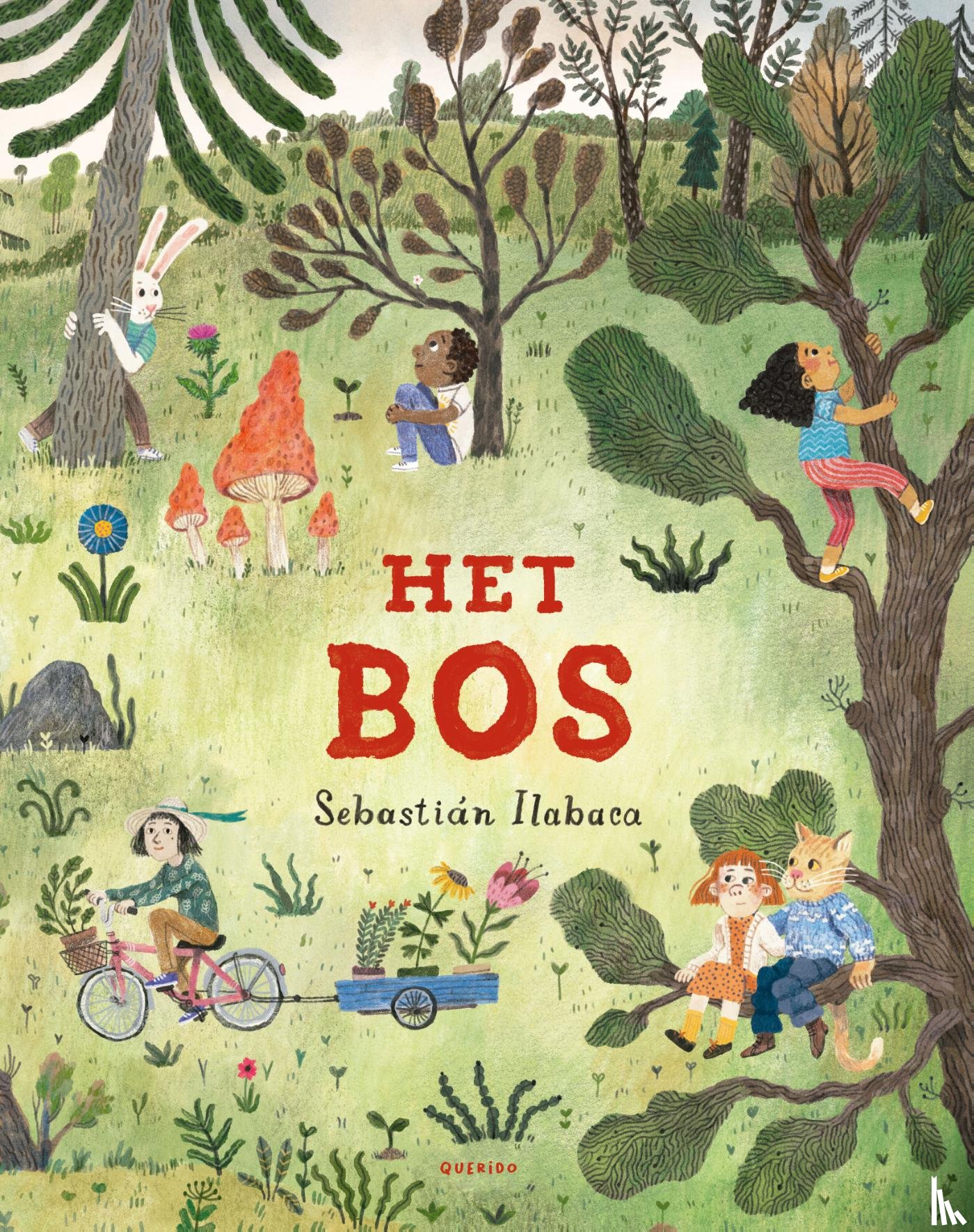 Ilabaca, Sebastián - Het bos