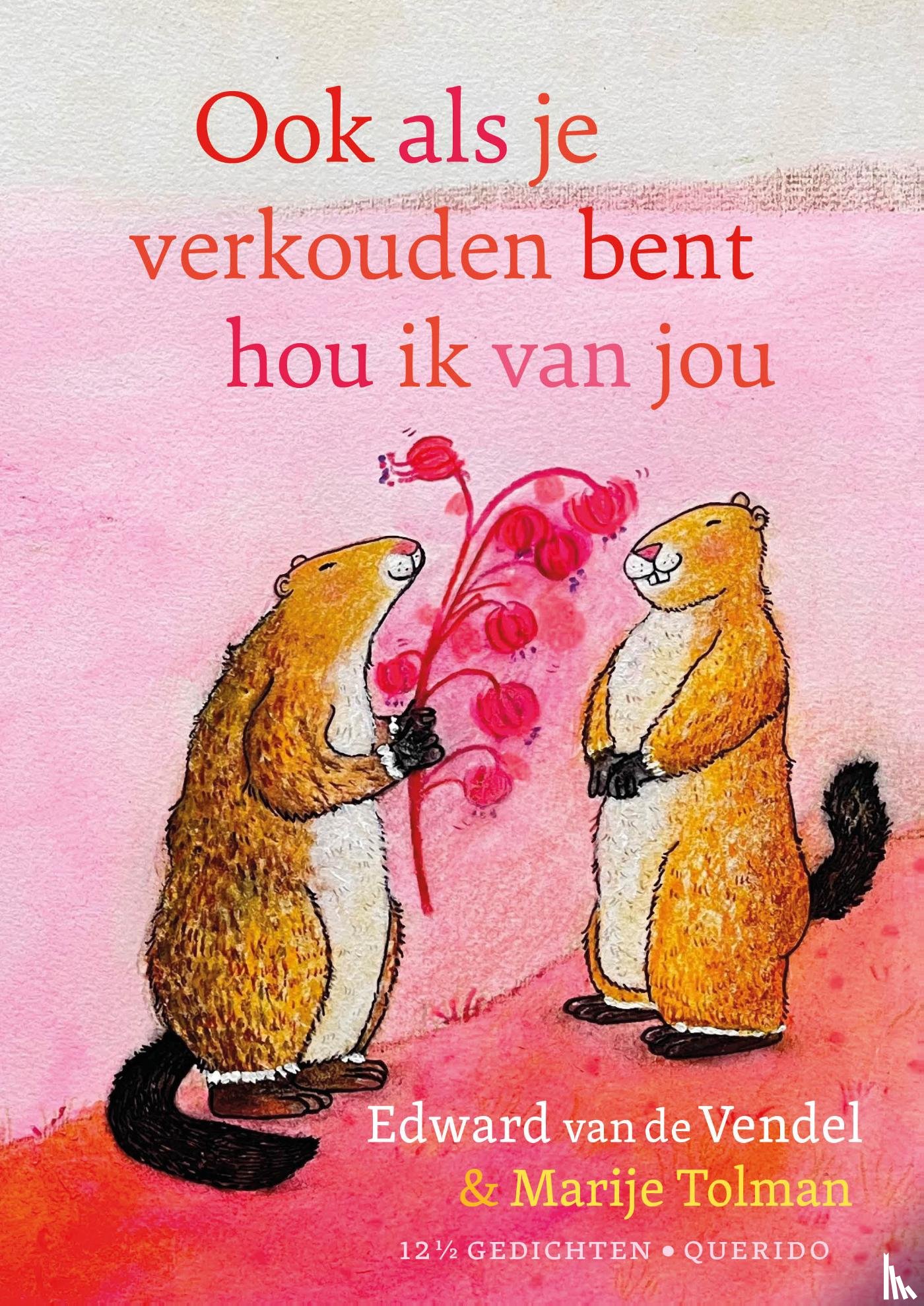 Vendel, Edward van de - Ook als je verkouden bent hou ik van jou