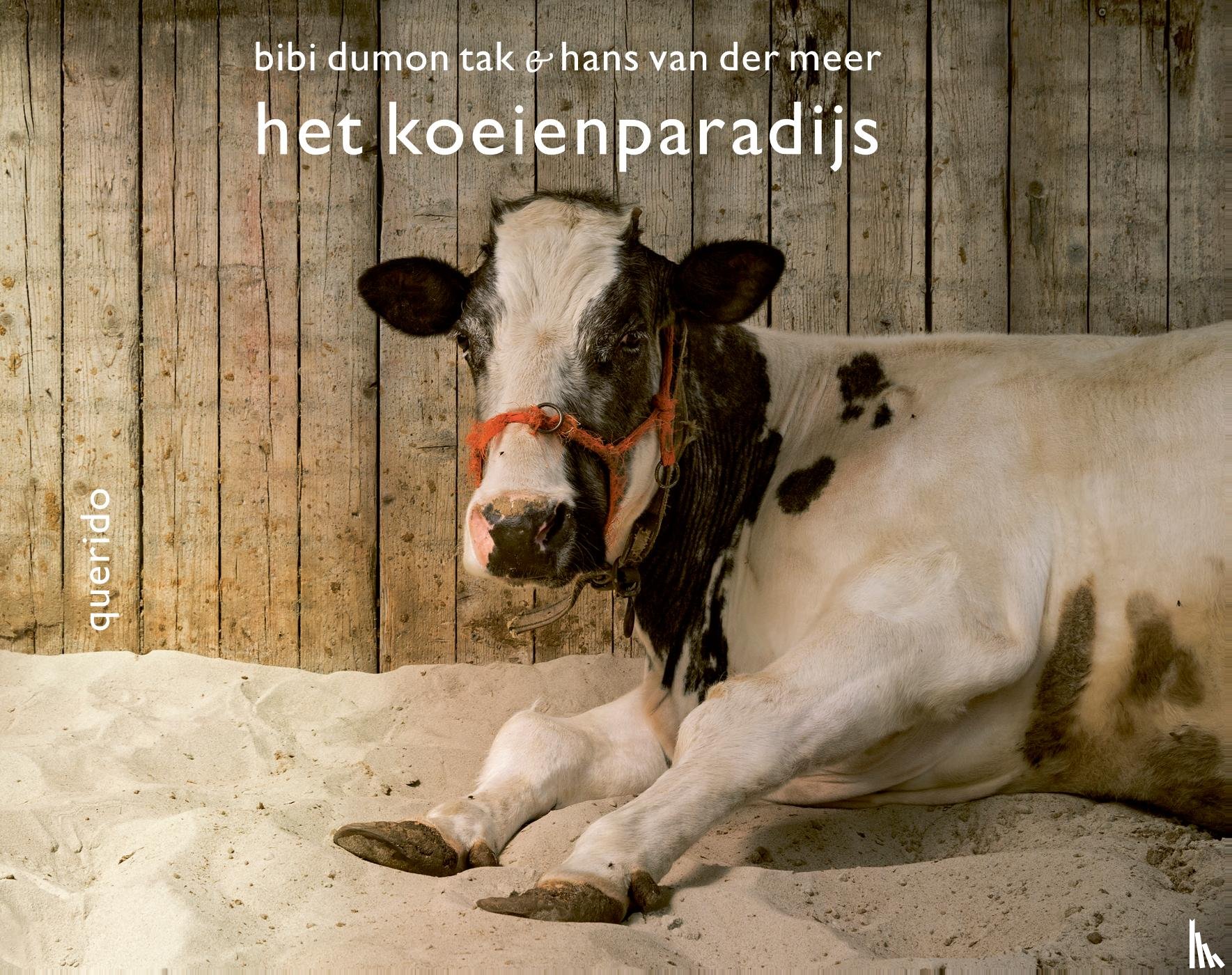 Dumon Tak, Bibi - Het koeienparadijs