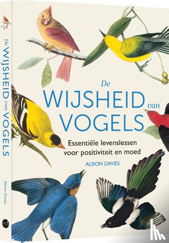 Davies, Alison - De wijsheid van vogels