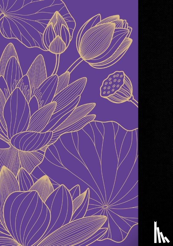 MUS - MUS Sketch Book