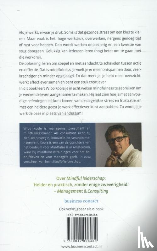 Koole, Wibo - Mindful werken