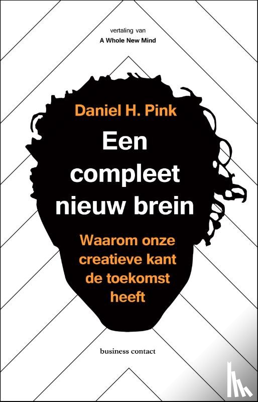 Pink, Daniel - Een compleet nieuw brein