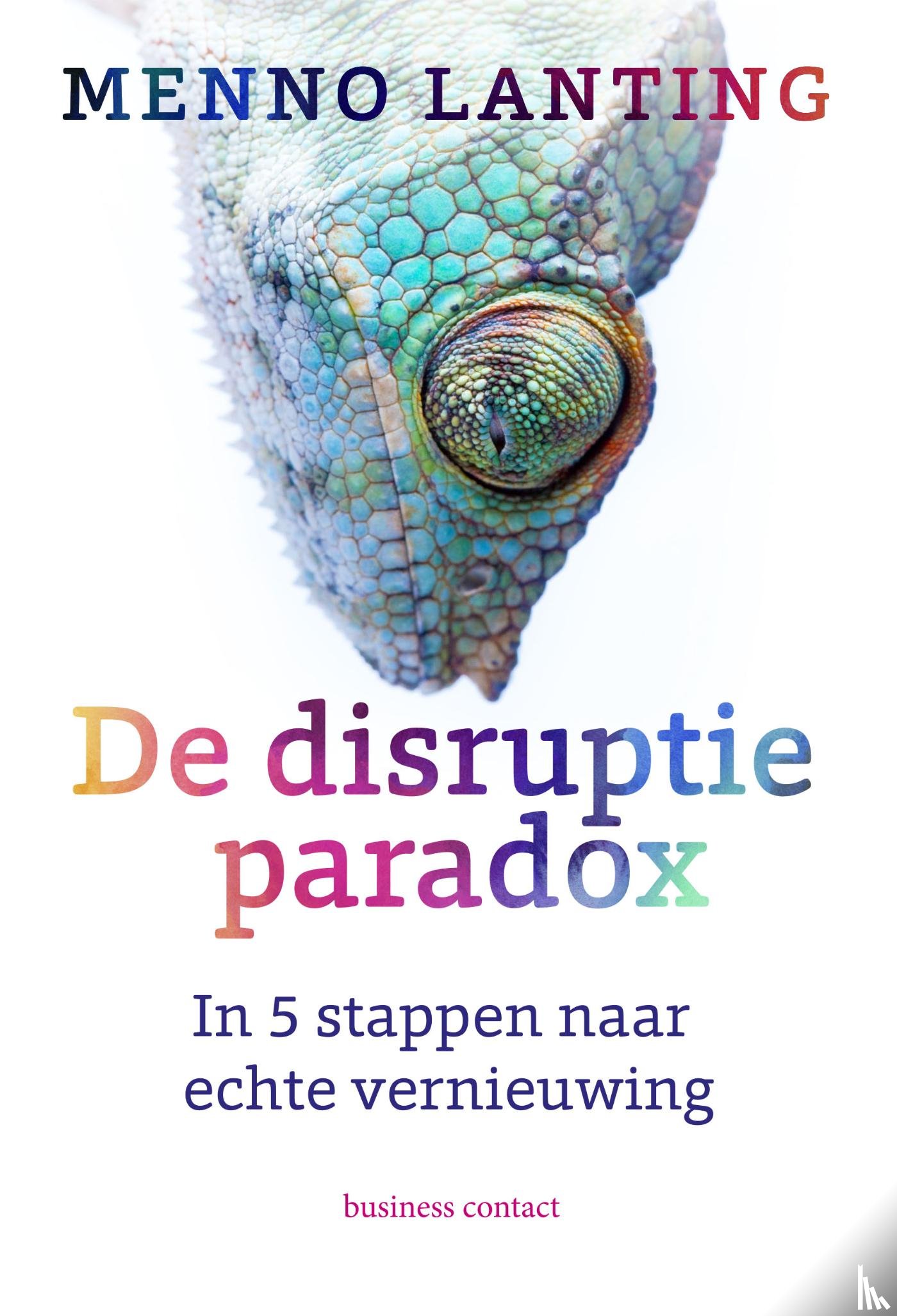 Lanting, Menno - De disruptieparadox