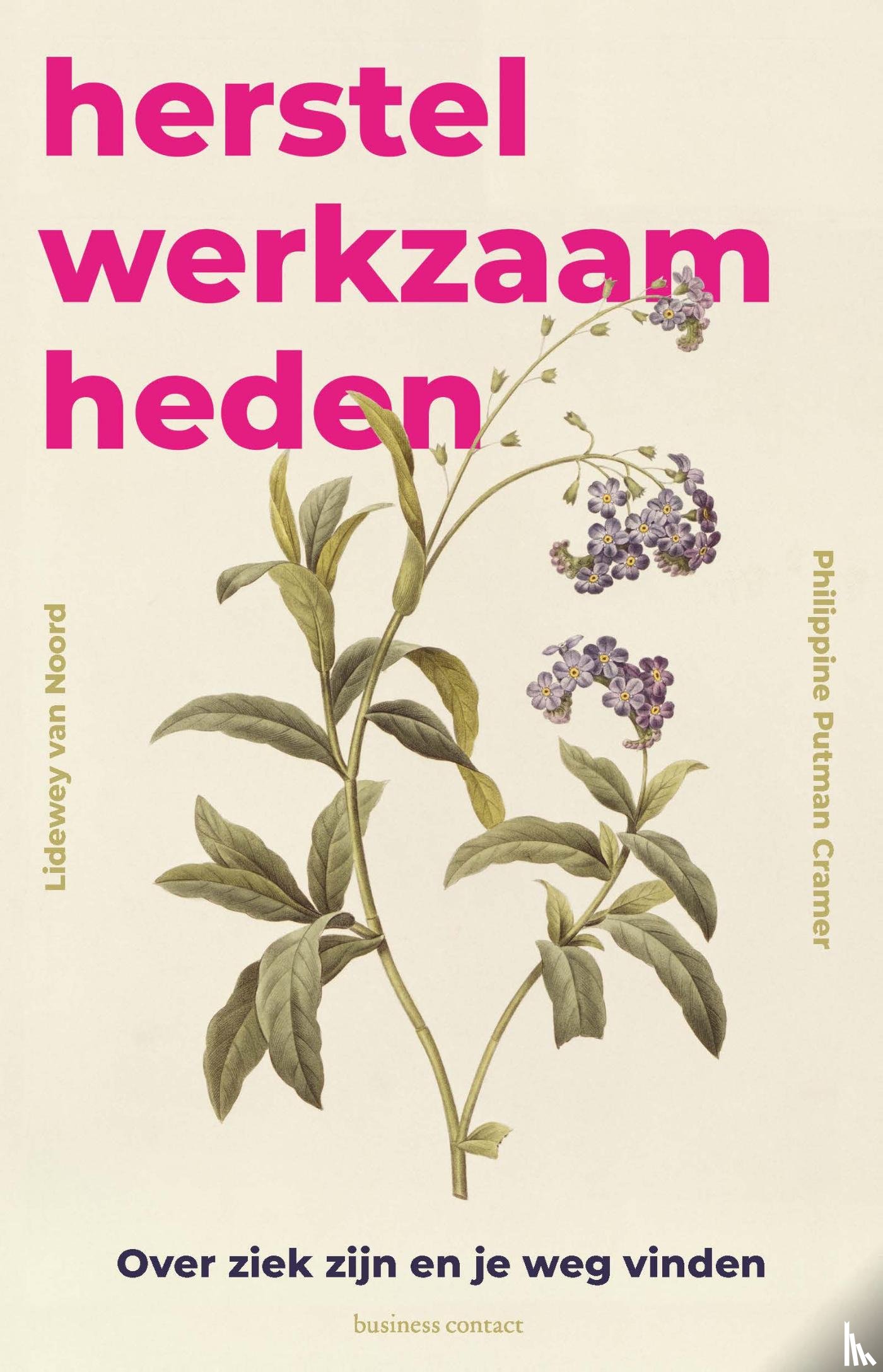Putman Cramer, Philippine, Noord, Lidewey van - Herstelwerkzaamheden