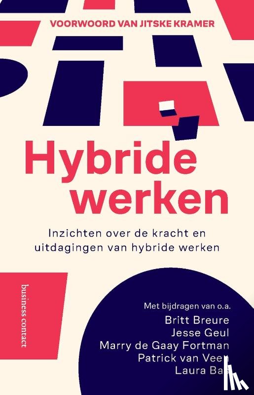 Diverse auteurs - Hybride werken