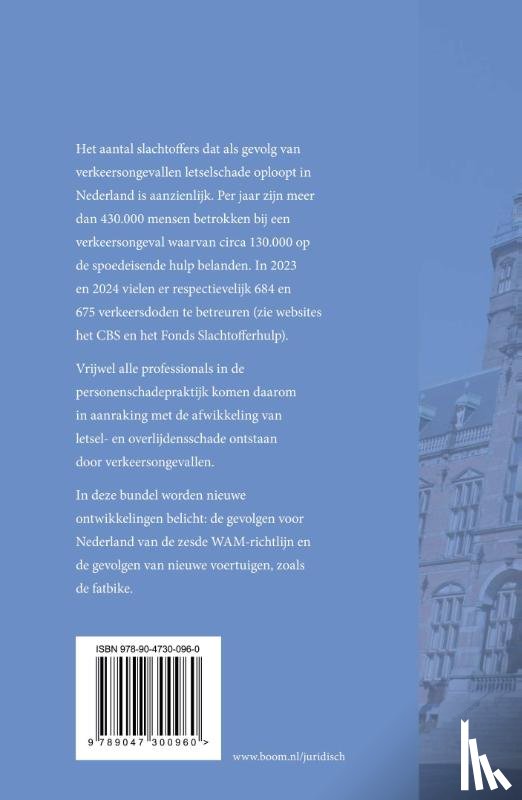  - Aansprakelijkheid en verkeer: een blik op de weg