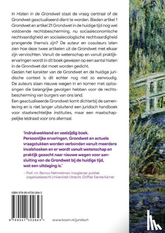 Sylvester, Joyce - Hiaten in de Grondwet