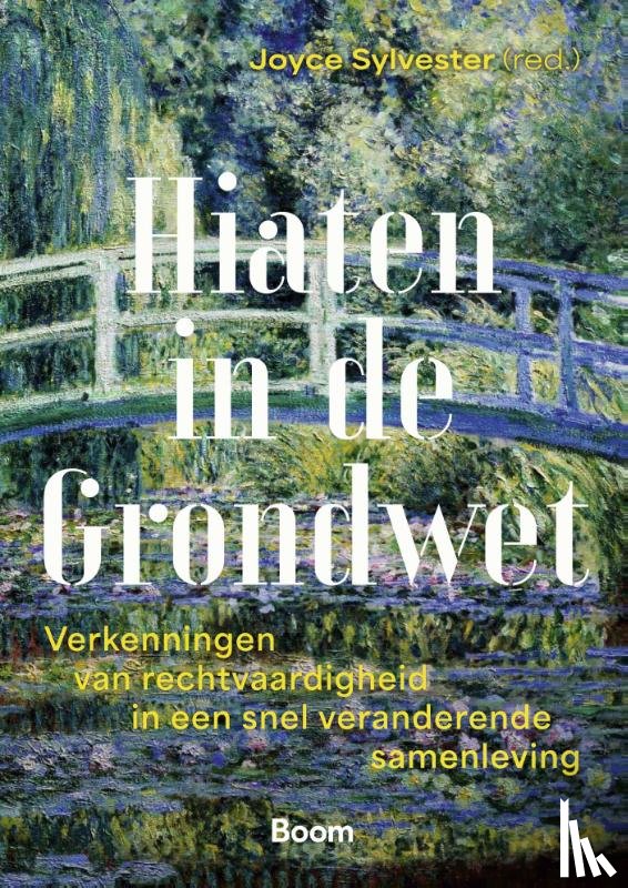 Sylvester, Joyce - Hiaten in de Grondwet