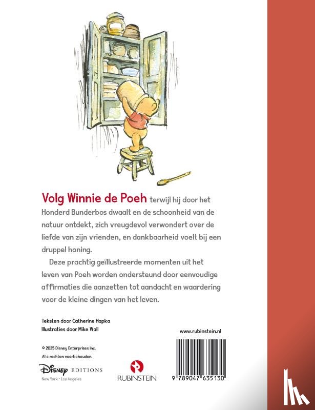 Disney, Hapka, Catherine - Winnie de Poeh. De kleine dingen van het leven