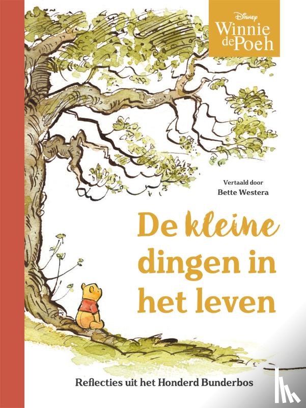 Disney, Hapka, Catherine - Winnie de Poeh. De kleine dingen van het leven