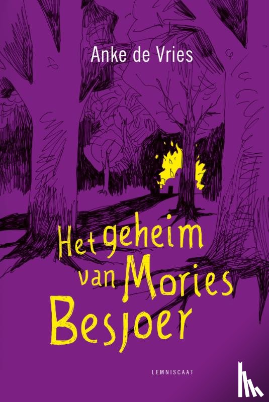 Vries, Anke de - Het geheim van Mories Besjoer