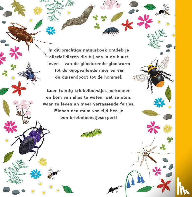 Ingram, Zoë - Mijn eerste kriebelbeestjesboek