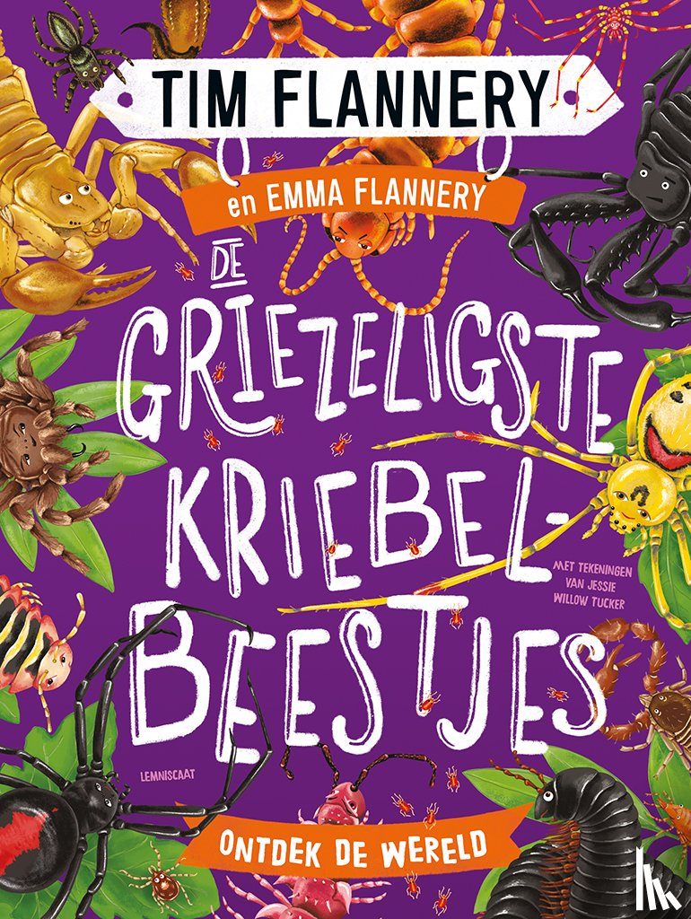 Flannery, Tim, Flannery, Emma - De griezeligste kriebelbeestjes