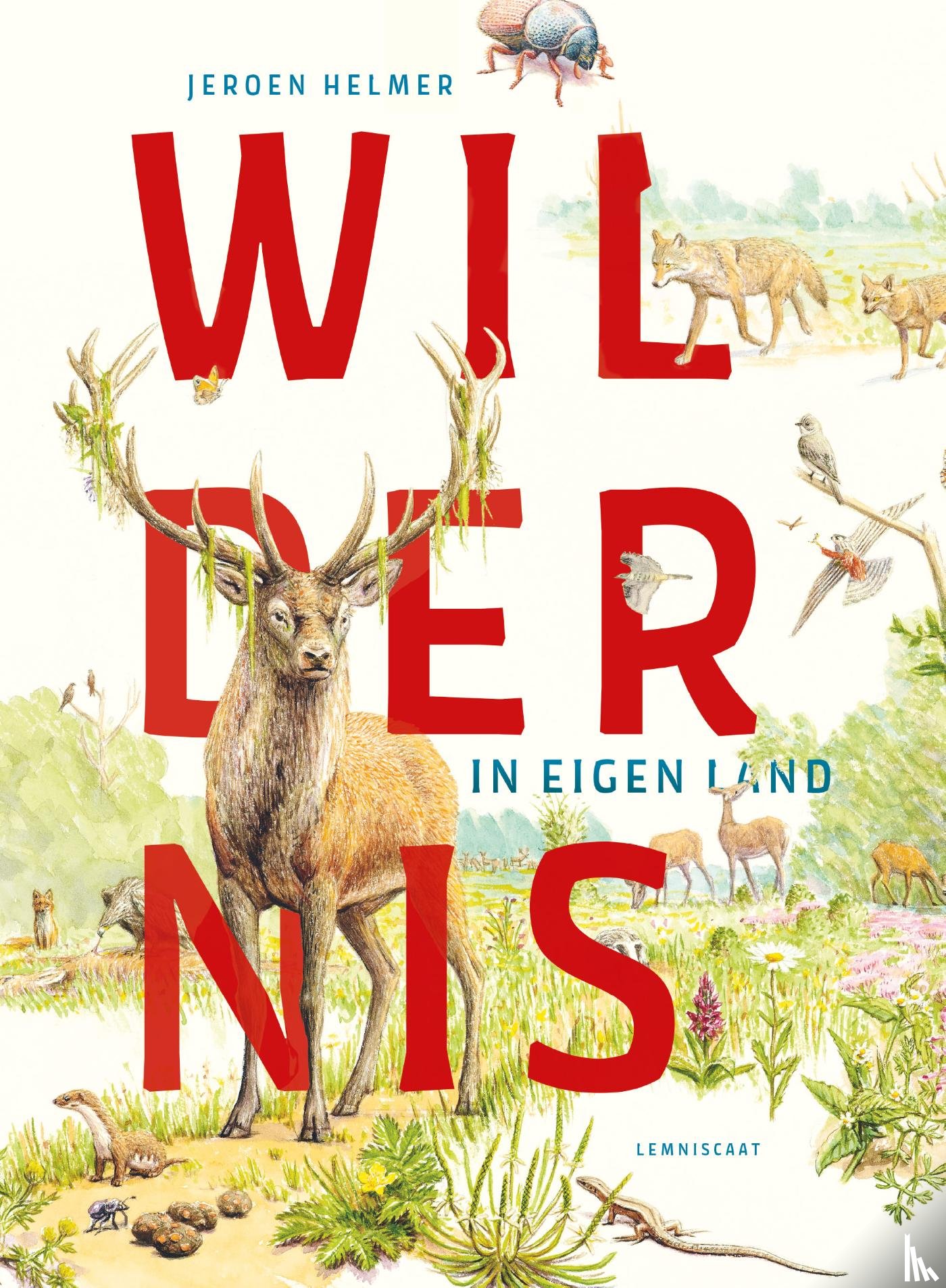 Helmer, Jeroen - Wildernis in eigen land