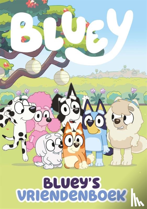 Diversen - Bluey's vriendenboek