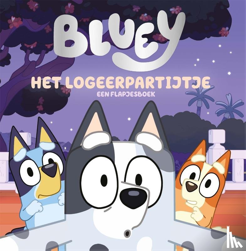  - Het logeerpartijtje