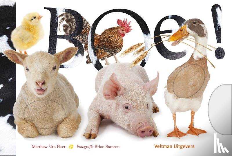 Fleet, Matthew Van, Vitataal - Boe!