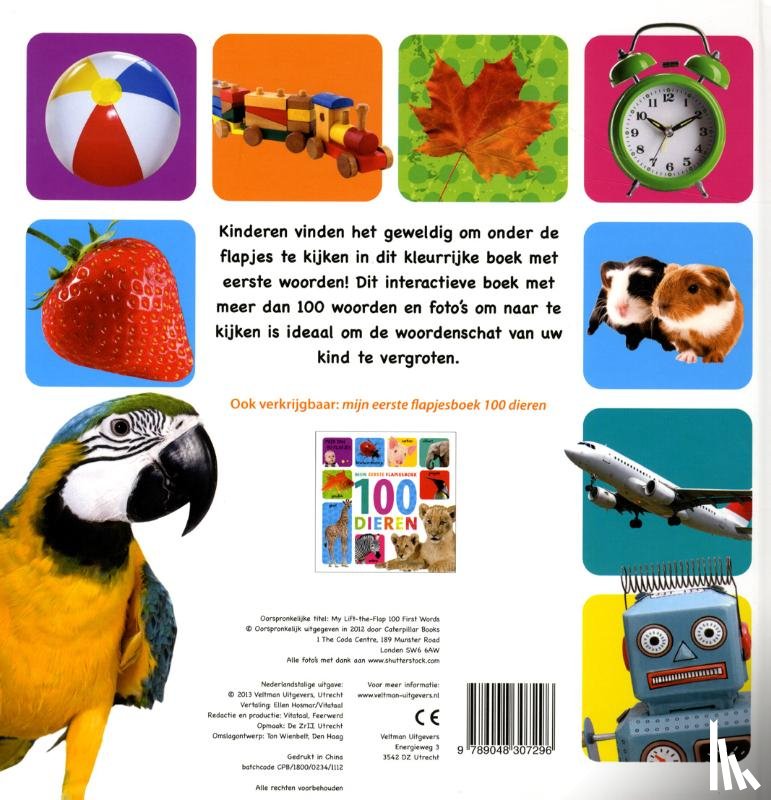  - Mijn eerste flapjesboek 100 woorden