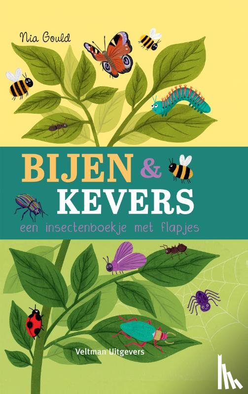 Littleboy, Molly - Bijen & kevers, een insectenboekje met flapjes