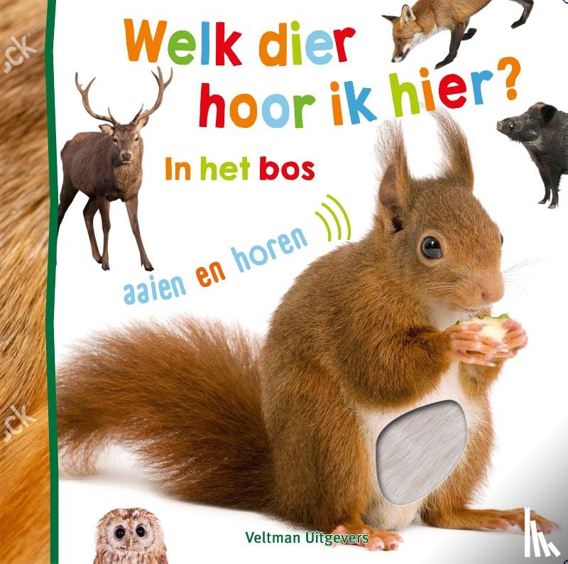  - Welk dier hoor ik hier? - in het bos