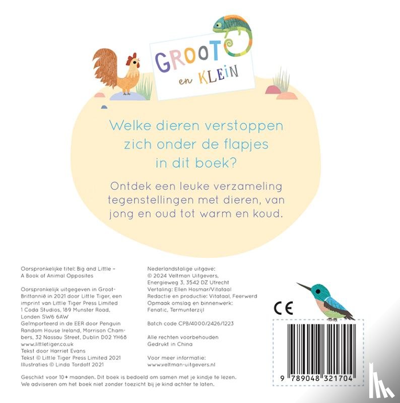 Evans, Harriet - Groot en Klein, een boek vol tegenstellingen