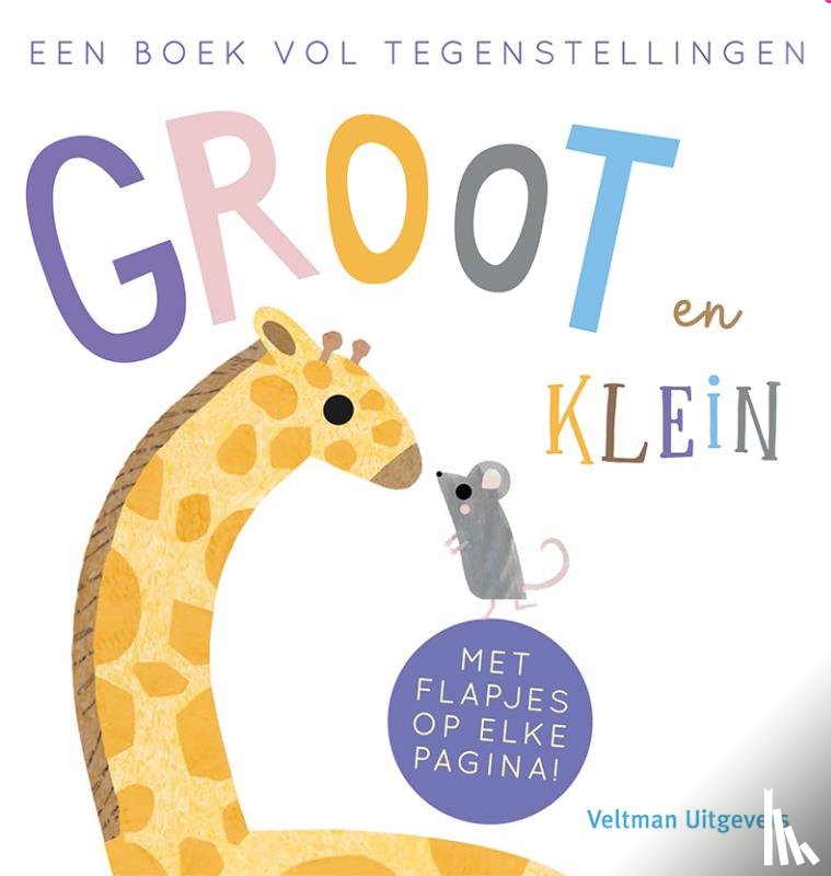 Evans, Harriet - Groot en Klein, een boek vol tegenstellingen