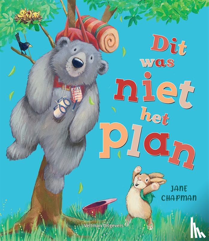 Chapman, Jane - Dit was niet het plan