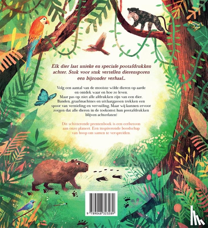 Wise, Judy - In het spoor van wilde dieren