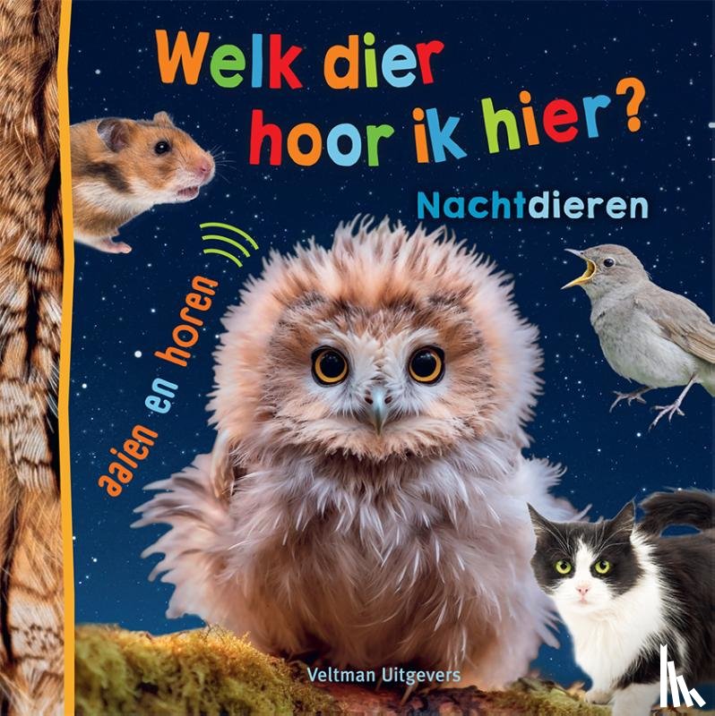  - Welk dier hoor ik hier? - Nachtdieren