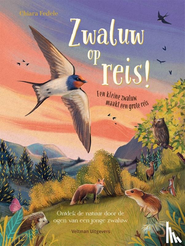 Fedele, Chiara - Zwaluw op reis!