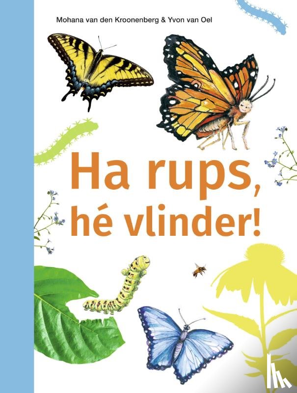 Kroonenberg, Mohana van den - Ha rups, hé vlinder!