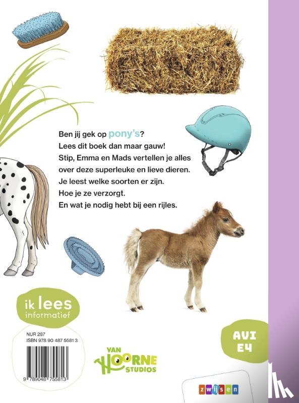 Verhoeven, Sam - Alles over de pony