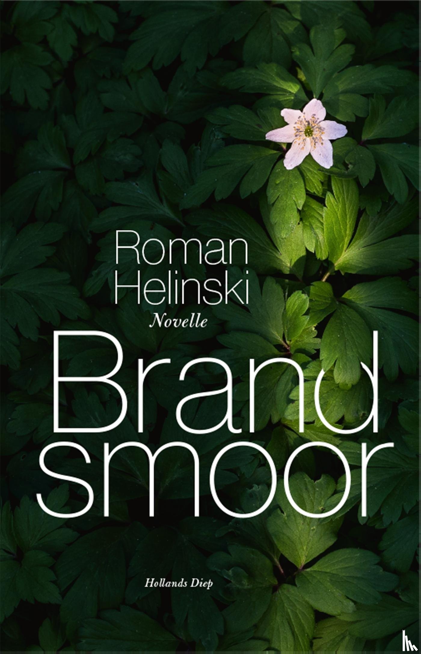 Helinski, Roman - Brandsmoor
