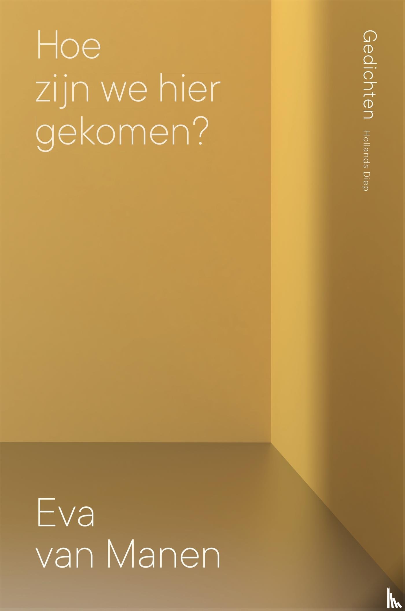 Manen, Eva van - Hoe zijn we hier gekomen?