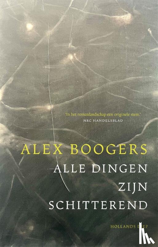 Boogers, Alex - Alle dingen zijn schitterend