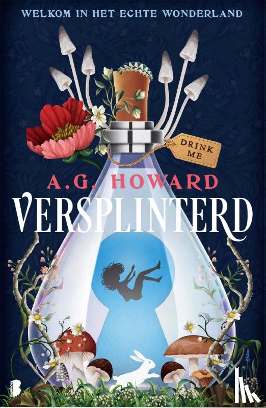 Howard, A.G. - Versplinterd