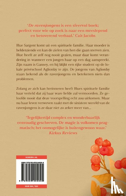 Stiefvater, Maggie - De ravenjongens