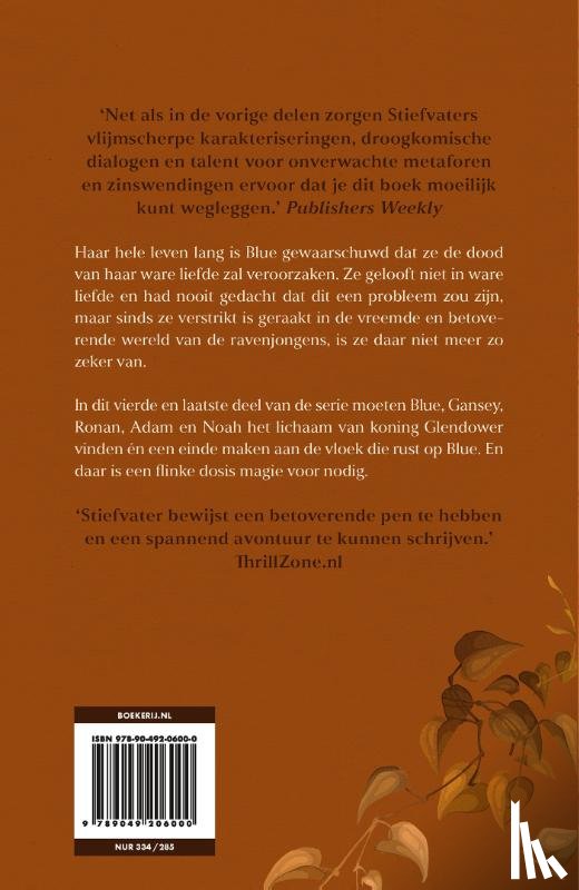 Stiefvater, Maggie - De ravenkoning