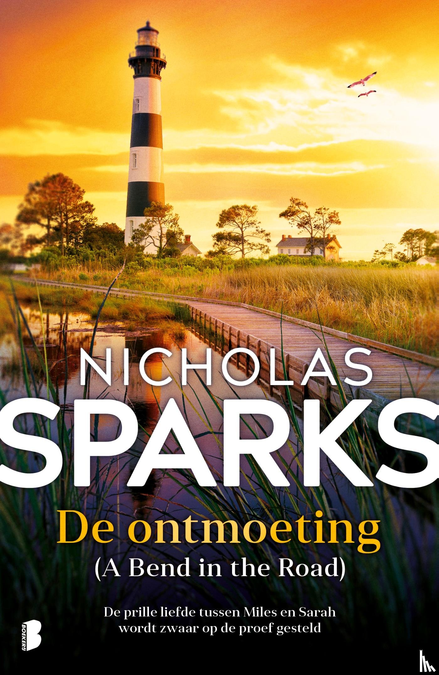 Sparks, Nicholas - De ontmoeting