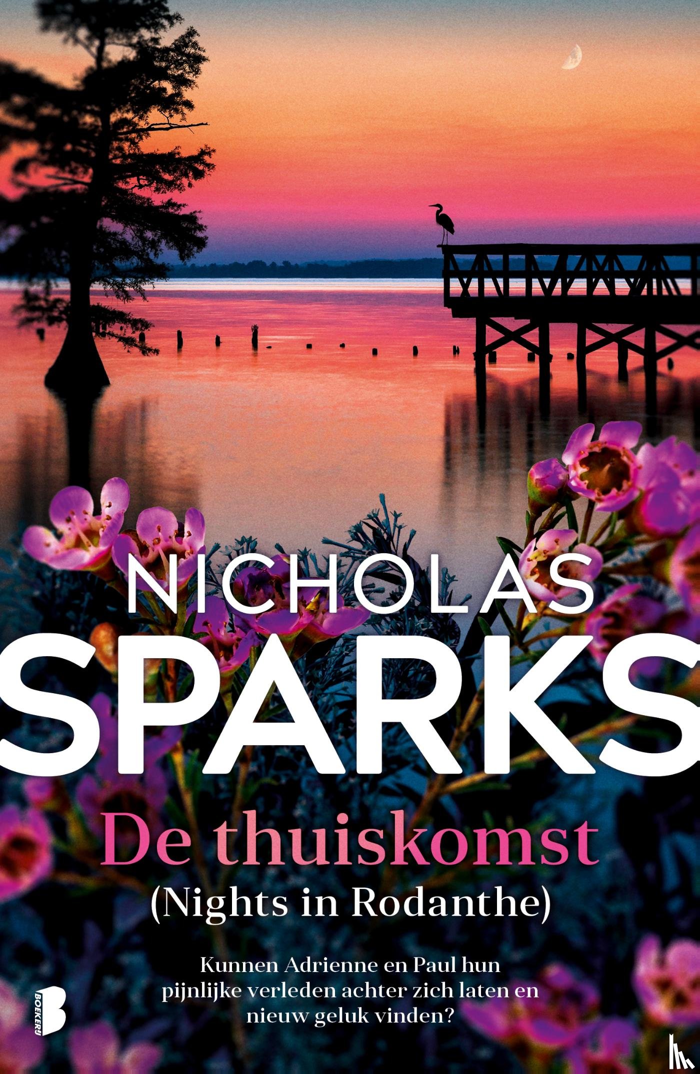 Sparks, Nicholas - De thuiskomst