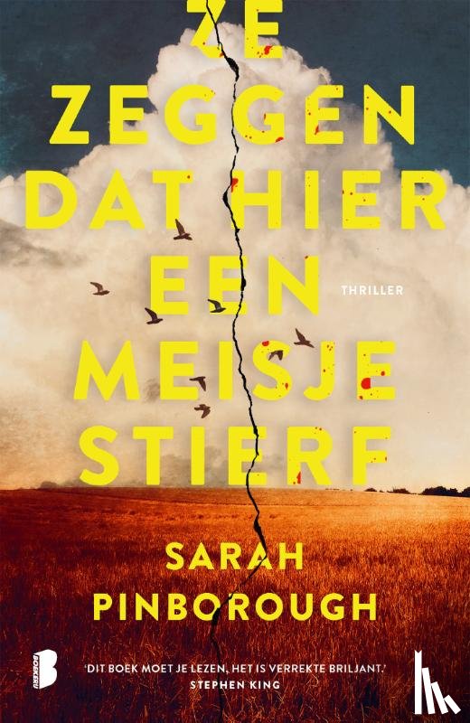 Pinborough, Sarah - Ze zeggen dat hier een meisje stierf