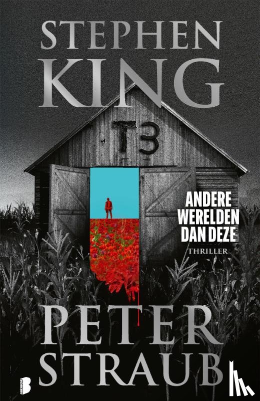 King, Stephen, Straub, Peter - Andere werelden dan deze