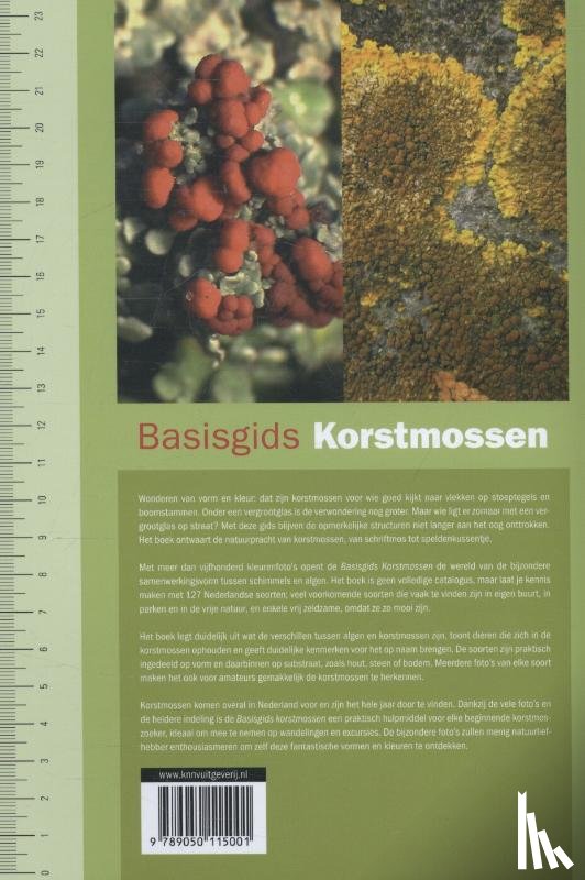 Bremer, Arie van den, Spier, Leo - Basisgids korstmossen