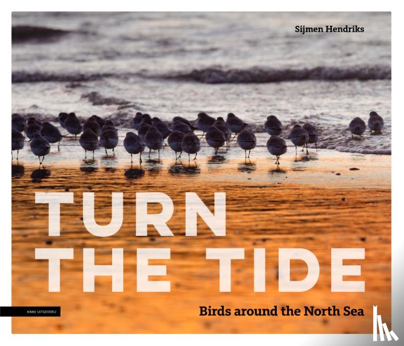 Hendriks, Sijmen - Turn the tide