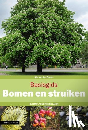 Bremer, Arie van den - Basisgids Bomen en struiken - Bloemen, vruchten en zaden