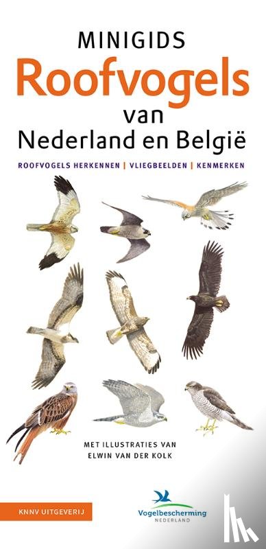 Louwe Kooijmans, Jip - Set Minigids Roofvogels van Nederland en Belgie