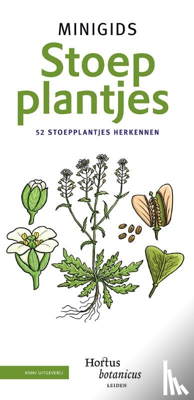 Hortus Botanicus Leiden - Set Minigids Stoepplantjes