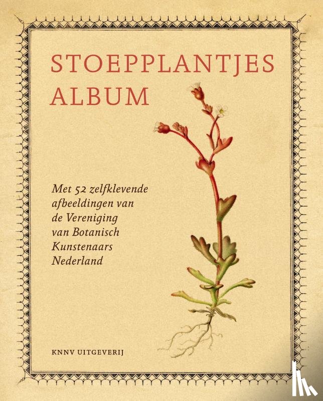 Leiden, Hortus Botanicus - Stoepplantjesalbum